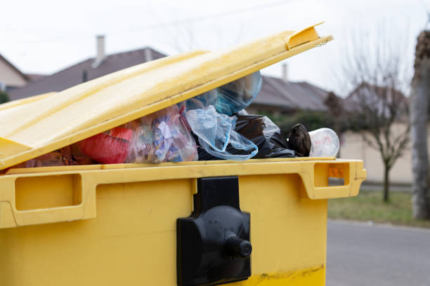 Professional Junk Removal in Hamilton, IN